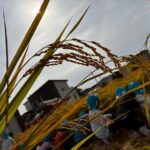 地域との関わり☆☆☆