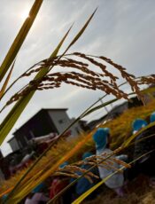 地域との関わり☆☆☆