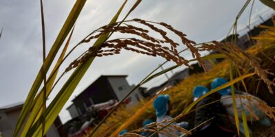 地域との関わり☆☆☆