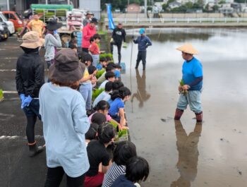 田植え体験☆☆☆