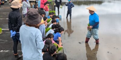 田植え体験☆☆☆