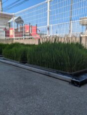 もうすぐ田植え体験♪