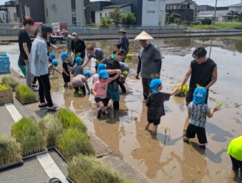 田植え体験☆☆☆
