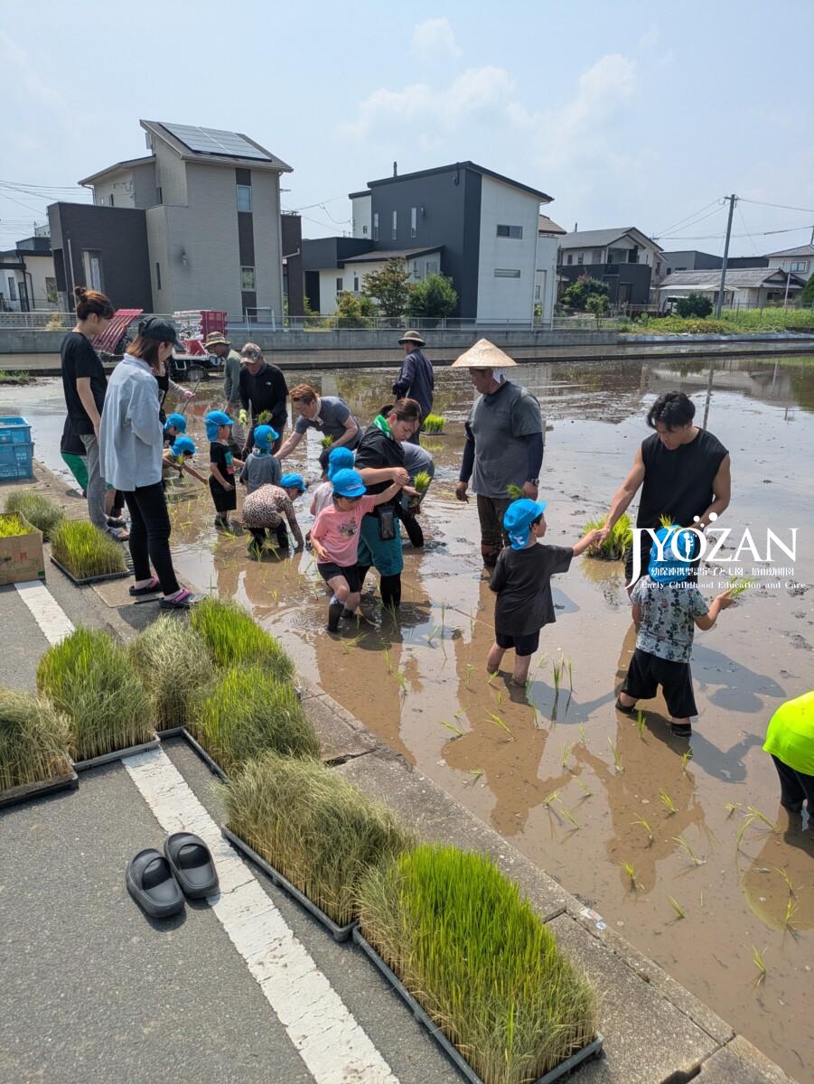 田植え体験☆☆☆
