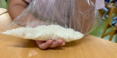 保育の柔軟性☆☆☆