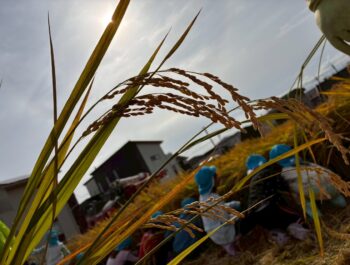 地域との関わり☆☆☆