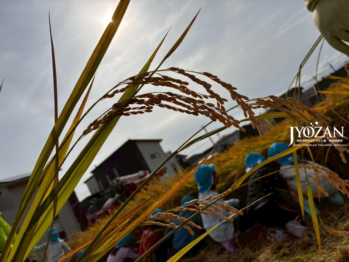 地域との関わり☆☆☆