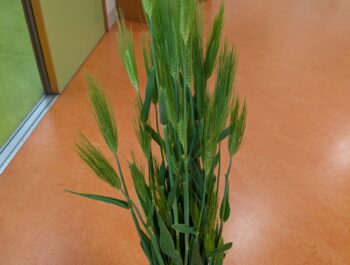 安全に子どもをお返しする。