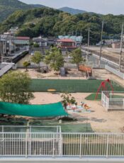 どんぐり