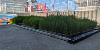 もうすぐ田植え体験♪