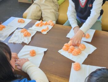 どうやって分ける？？