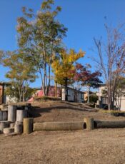 保育の環境（言葉かけ）